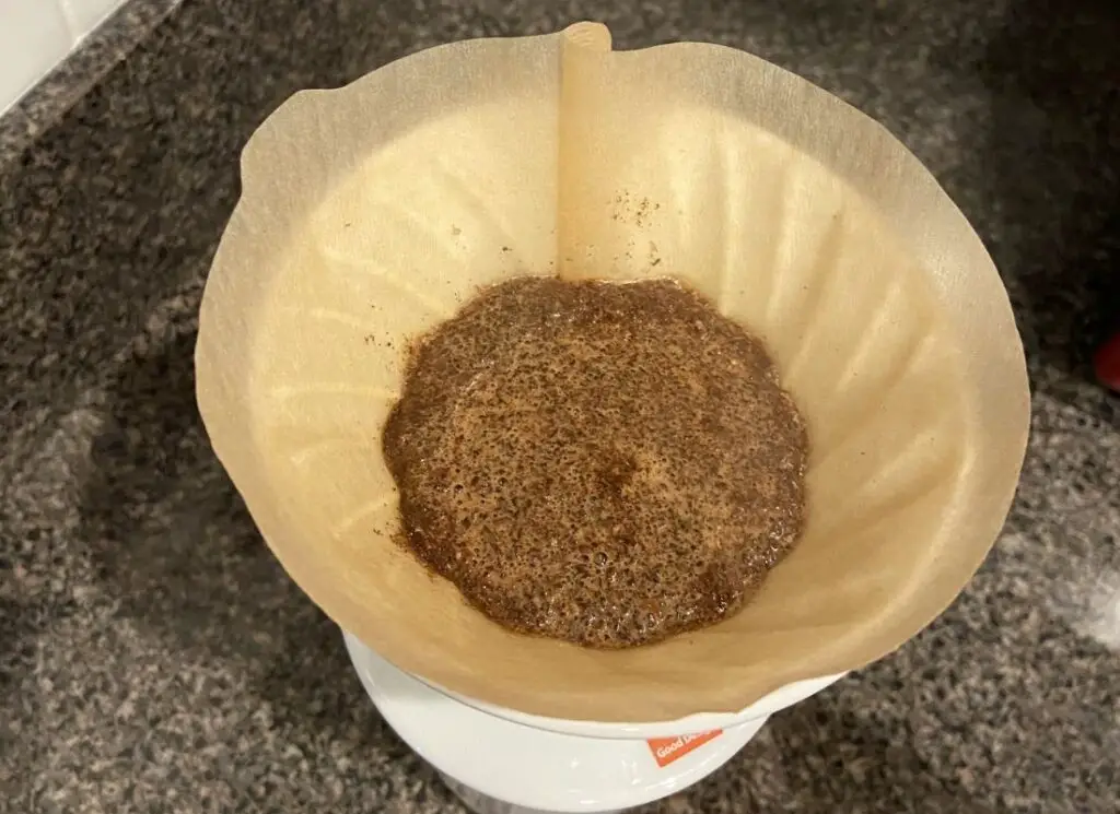 v60 with filter, water and grounds demonstrating bloom effect