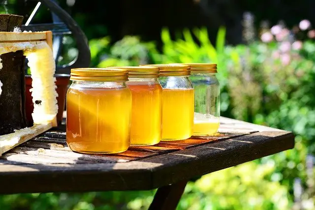 jars of honey from hive